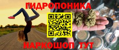гидропоника Ливны