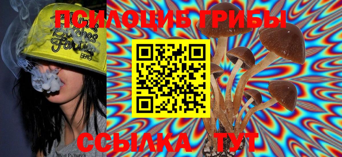 Артёмовский  Галлюциногенные грибы Magic Shrooms  Псилоцибиновые грибы Cubensis  Вход с VPN 