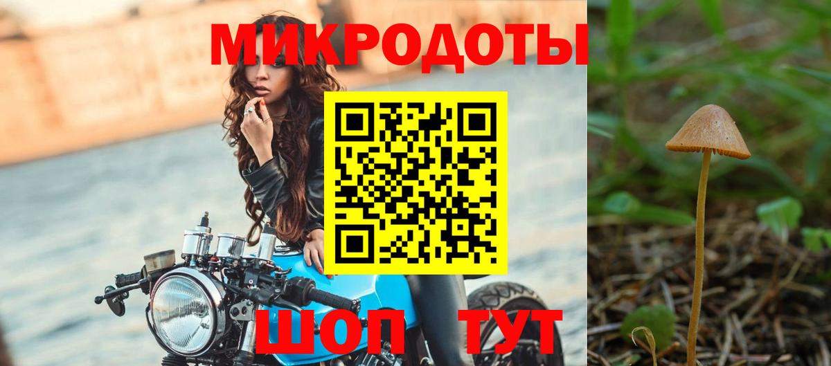 Псилоцибиновые грибы мицелий Артёмовский